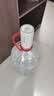 志高（CHIGO）抽水器桶装水 电动抽水泵饮水机纯净水取水器自动上水器D52A 实拍图