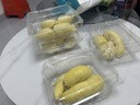 广州酒家核桃包750g 20个 早餐半成品早茶点心包子面点食品美食面点预制菜 实拍图
