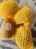 佳沛（zespri）新西兰 阳光金奇异果12粒特大果单果124-146g 猕猴桃水果礼盒 实拍图