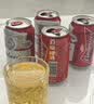 百威【梅西同款】经典红罐啤酒450mL 18罐整箱装喜宴中秋送礼 实拍图