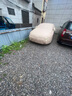 金雨保牛津布汽车车衣车罩防晒防雨隔热防尘加厚遮阳车套外全罩通用四季 人气热销【香槟咖】600D高密度牛津布+送收纳袋 三层加厚款*四季可用【防暴晒防雨防冰雹抗大风】 实拍图