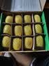 佳沛（zespri）新西兰金奇异果12粒特大果124-146g猕猴桃中秋节礼品送水果礼盒 实拍图