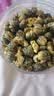 仁医谷菊花茶特级护肝去火黄胎菊特级无硫熏去火清热解毒养肝养生茶75g 实拍图