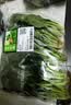 【24小时菜】菠菜苗250g(长度≤20cm) 实拍图