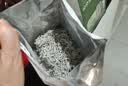 京东京造张家界特级莓茶250g 头采新茶野藤茶龙须芽尖土家生霉茶 实拍图