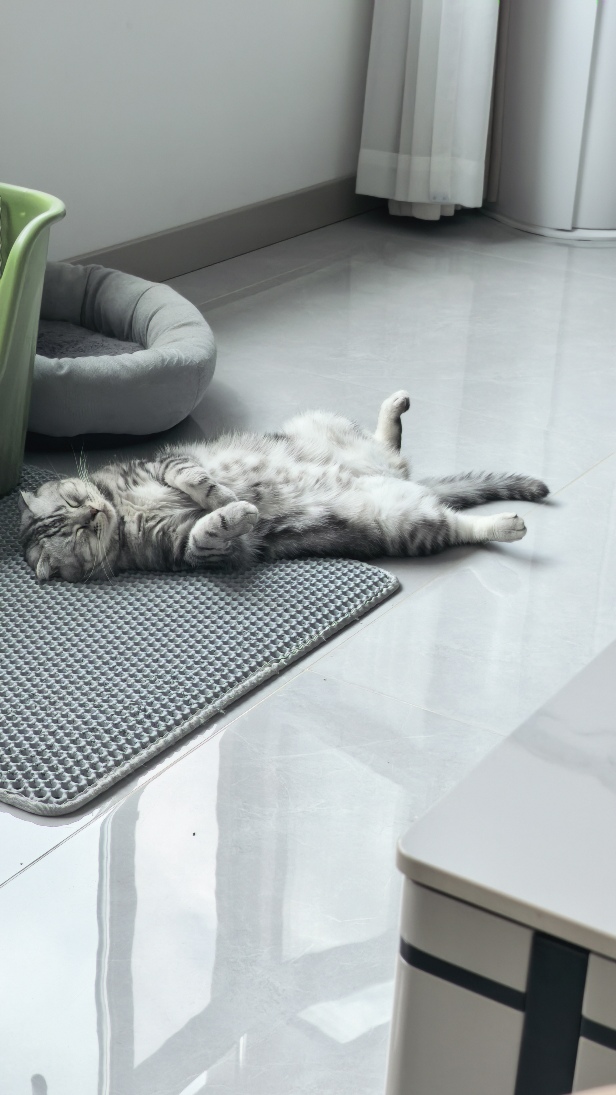 可靠（COCO）吸收宝成人拉拉裤XL12片（臀围≥110cm） 内裤型纸尿裤尿不湿 实拍图