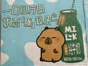 三元小方白脱脂纯牛奶整箱200ml*24盒 0脂肪 中秋送礼 牛奶礼盒 实拍图