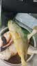 海名威 冷冻宁德三去黄花鱼600g/2条 大黄鱼 生鲜鱼类 海鲜水产 深海鱼 实拍图