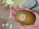 佳沛（zespri）新西兰 阳光金奇异果12粒特大果单果124-146g 猕猴桃水果礼盒 实拍图
