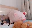 名创优品（MINISO）小猪B-BO弹力超柔趴姿公仔毛绒玩偶儿童玩具抱枕靠枕生日礼物女 实拍图