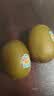 佳沛（zespri）新西兰阳光金奇异果10粒巨大果单果146-175g 猕猴桃水果礼盒 实拍图