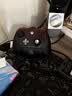 盖世小鸡G7 Pro微软Xbox授权精英游戏手柄天王星带底座 TMR摇杆蓝牙PC电脑无线Steam安卓电视有线地平线6 实拍图