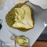 京鲜生 进口金枕头鲜榴莲 净重4-5斤 1个装 生鲜新鲜水果七夕情人节礼物 实拍图