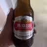 燕京啤酒 U8小度酒500ml*12瓶 整箱装 新老包装交替发货 现货热卖 晒单实拍图