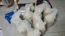 LEGENDSANDY蓝氏狗粮真鲜乳鸽中小型犬泰迪比熊生骨肉冻干鲜肉犬粮1.5kg*6包 实拍图