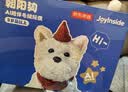 京东京造AI儿童玩具 AI早教机陪伴机器人毛绒玩具男孩女孩生日礼物朝阳狗 实拍图