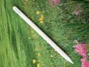Apple/苹果 Pencil Pro 磁吸触控笔手写笔苹果笔电容笔书写绘画iPad笔 适用于iPad Pro/Air/mini机型 实拍图