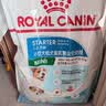 皇家狗粮 幼犬狗粮 宠物 小型犬 MIJ31 全价犬粮 2-10月 2KG 实拍图