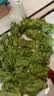 生吃意大利奶油生菜新鲜生菜即食沙拉蔬菜火锅烤肉整箱烧烤涮菜 地头现摘 鲜嫩脆甜【常温发货】 河南意大利生菜整箱5斤（净重4.6斤） 实拍图