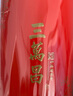 三万昌[2026新茶上市]碧螺春苏州洞庭东西山雨前绿茶自己喝口粮茶叶125g 实拍图