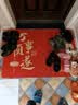 瑞恩绿色地垫入户门垫门口进门脚垫入户门高档玄关除尘防滑大尺寸地毯 实拍图