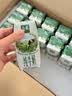 伊利金典3.8g乳蛋白鲜活纯牛奶250ml*8INF工艺30天常温短保中秋礼盒装 实拍图