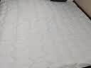 京东京造四季云柔床褥 100%原生羽丝绒 A类床垫褥子榻榻米1.8x2m 清雅灰 实拍图