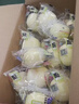 港荣蒸蛋糕面包无蔗糖480g早餐小蛋糕零食糕点甜品代餐七夕情人节礼物 实拍图