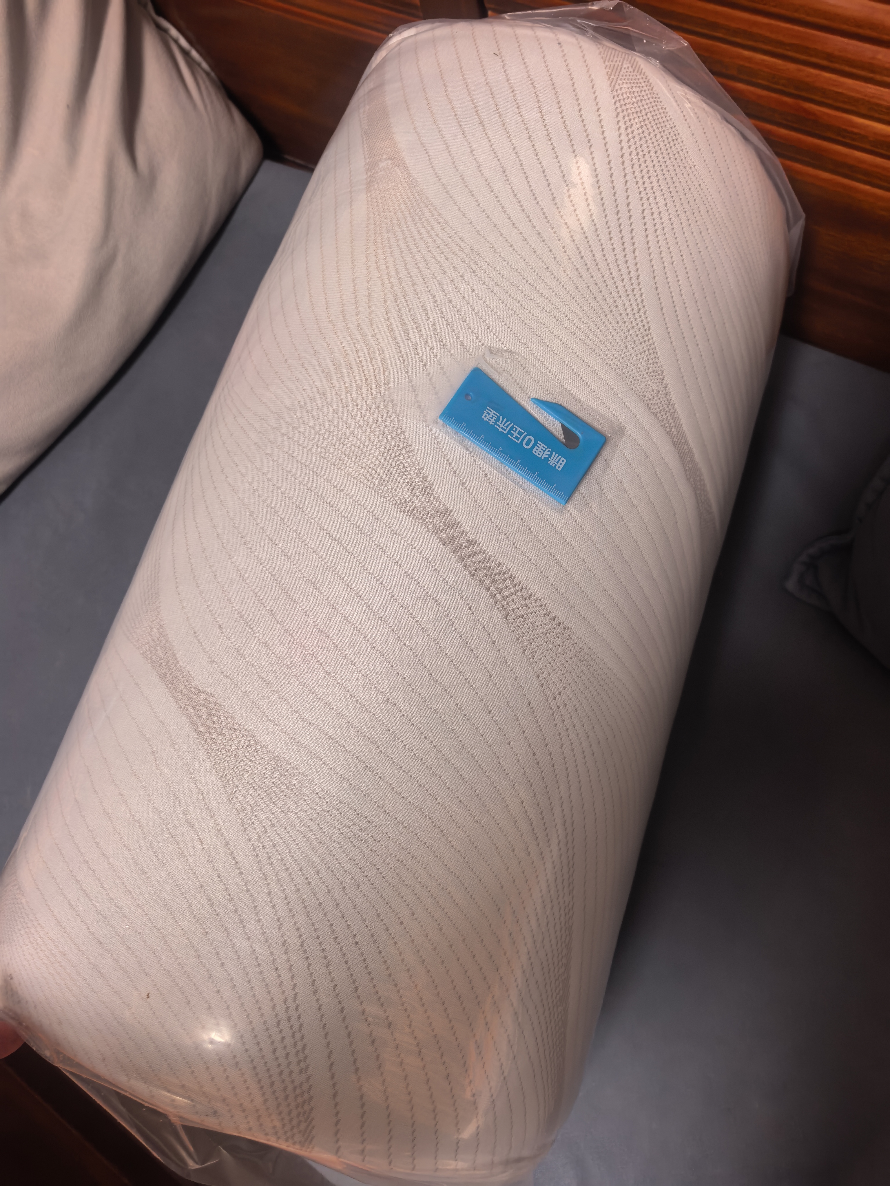 MLILY眯狸零压记忆棉床垫双人家用榻榻米床褥垫租房专用薄垫子1.5*2m 实拍图