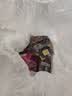歌帝梵（Godiva）草莓立方黑巧克力2颗装15g 婚礼喜糖 休闲零食糖果 下午茶 伴手礼 实拍图