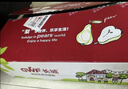 京鲜生【绿色认证】长城羊脂秋月梨 4.5斤装 大果5-7粒 单果300g+ 水果 实拍图