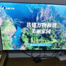 KTC京东联名款 京东OS开机无广告电视50JD 01系列50英寸 足球季专属电视高清全面屏一电视机T50K 实拍图