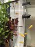 森森 小鲤鱼缸过滤器净水循环三合一内置水族箱过滤系统XQP-500F 6W 实拍图