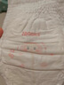 好奇（Huggies）铂金装小桃裤纸尿裤NB84片(5kg以下)尿不湿【夏季散热王】 实拍图