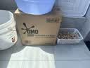 奥妙（OMO）吴磊好物酵素洁净除菌除螨持久留香18.4斤校服净洗衣液京东自营 实拍图