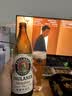 保拉纳（Paulaner）【20万人已购】柏龙 精酿白啤 500ml*20瓶  球赛必备 实拍图