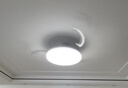 雷士（NVC）LED照明枕边风风扇灯吊扇灯北欧餐厅卧室1级能效三防白色42寸60瓦 实拍图