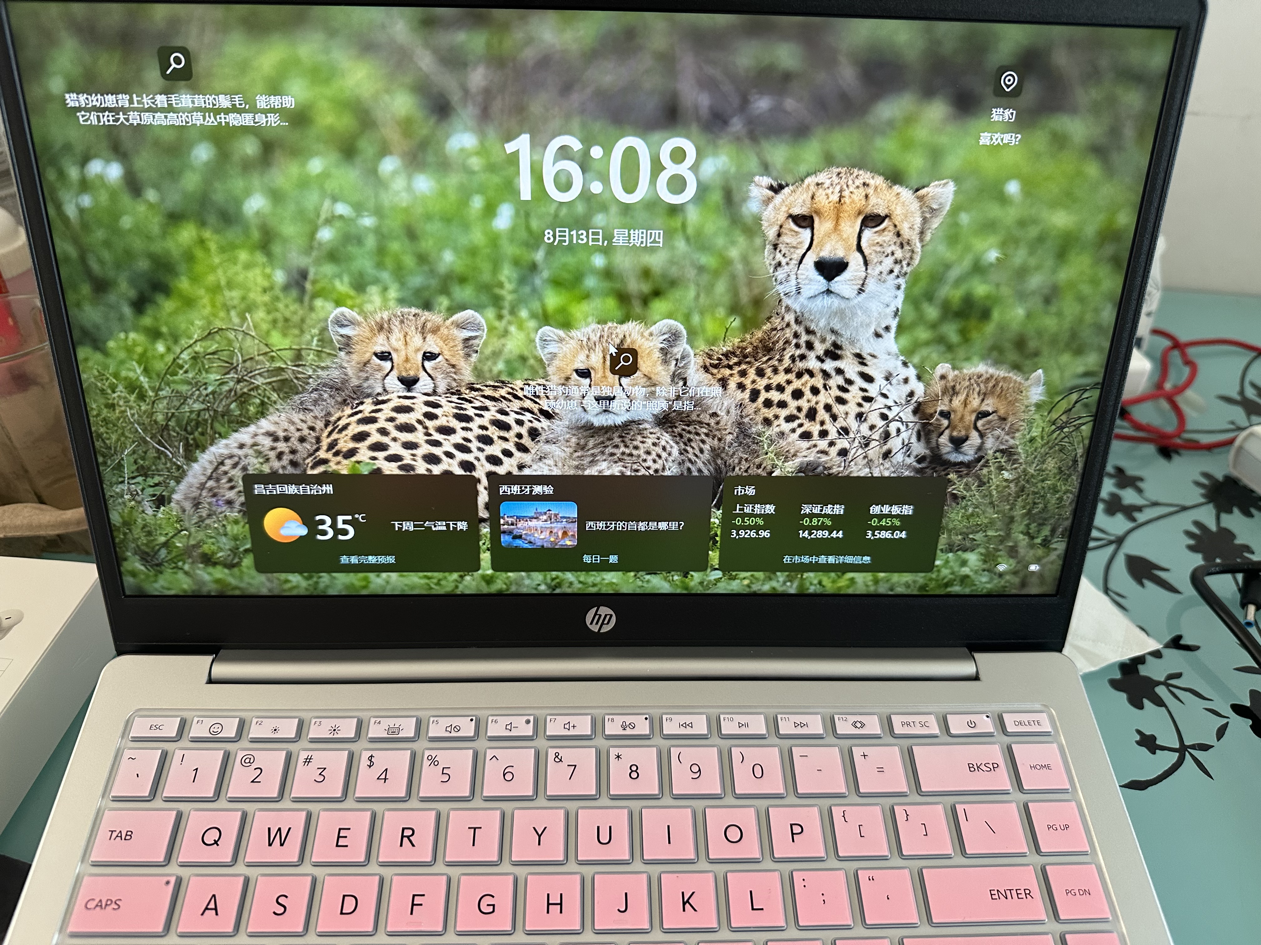 惠普（HP）【下单享补贴】星BOOK14  惠普笔记本AMD锐龙轻薄本 商务办公游戏学习网课设计学生本笔记本电脑 草莓薄荷 【性价比强推】R7 512G硬盘 16G内存 实拍图