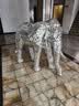 鼎鑫狗粮幼犬泰迪比熊金毛拉布拉多小型犬幼犬专用狗干粮2.5kg 实拍图