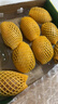 佳沛（zespri）新西兰阳光金奇异果10粒巨大果单果146-175g 猕猴桃水果礼盒 实拍图