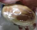 三只松鼠0蔗糖牛乳牛角包1000g*2箱 两件组合牛奶可颂面包学生早餐 实拍图