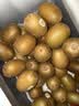 佳沛（zespri）新西兰金奇异果22粒巨大原箱146-175g猕猴桃中秋节礼品送水果礼盒 实拍图