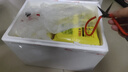 湾仔码头上汤小云吞鲜美虾皇400g50只馄饨速食夜宵馄饨早餐速冻半成品 实拍图