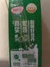 蒙牛酸酸乳凤梨味乳味饮料250ml*24盒  解腻佐餐 送礼盒装 乳味饮品 实拍图