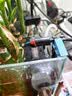 南水灌溉家用室内懒人自动浇花神器办公室绿植智能定时浇水滴灌溉 实拍图