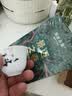 澜沧古茶云南普洱生茶 2025年景迈之春景迈山明前春茶散茶茶叶 【70g双盒】共140g 实拍图
