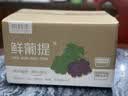 京鲜生 阳光玫瑰青提净重2.8-3.3斤装单果10g+葡萄/提子源头直发 实拍图