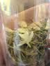 狮峰牌茶叶沁花系列花茶花草茶 浓香型250g茉莉花茶纸包装 茉莉绿茶 实拍图