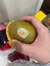 佳沛（zespri）新西兰 阳光金奇异果12粒特大果单果124-146g 猕猴桃水果礼盒 实拍图