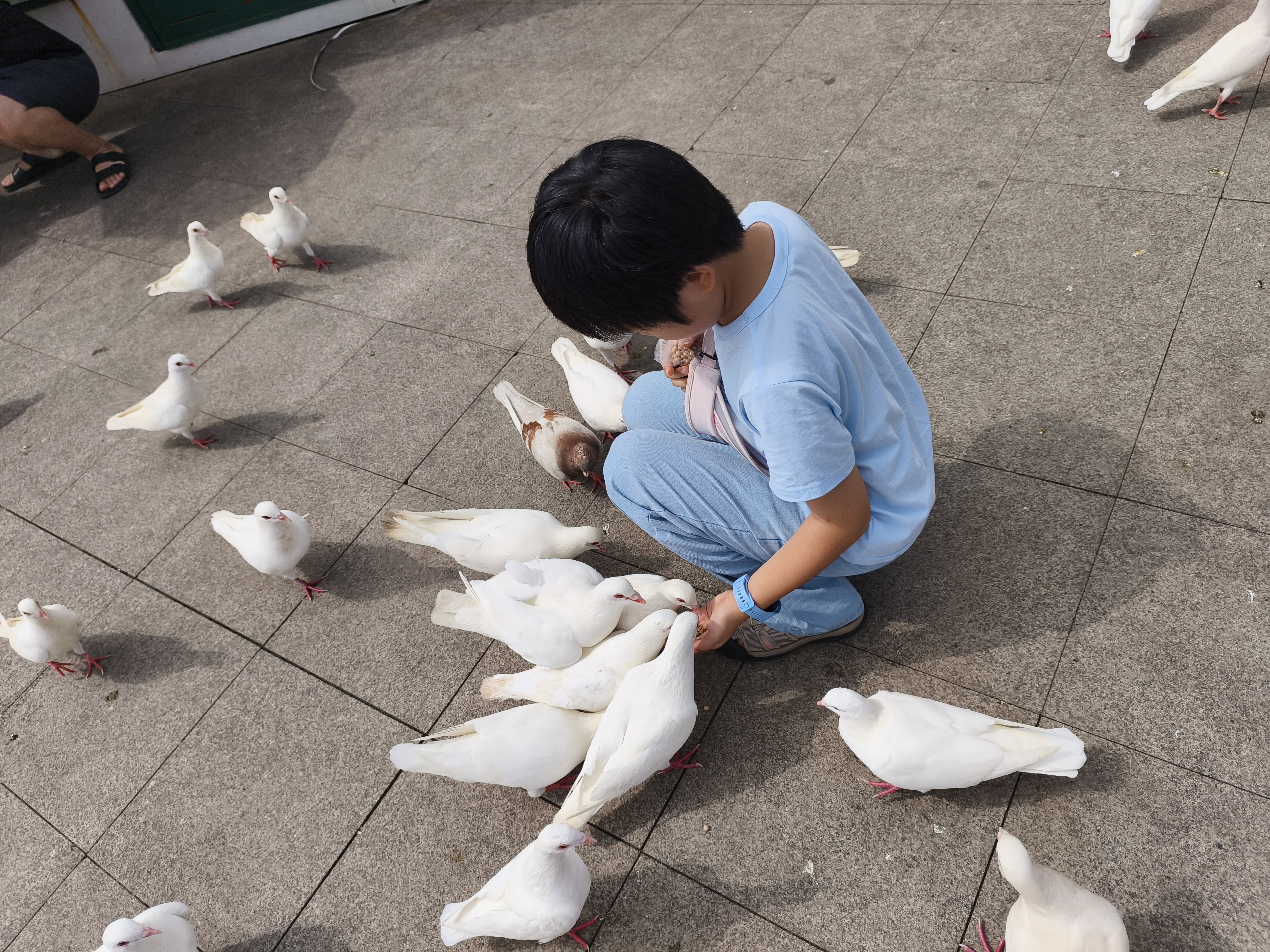 华为（HUAWEI）【六一儿童节礼物】儿童手表 5 海岛蓝 智能手表 离线定位 畅连通话 快充大电池 防沉迷设置 实拍图
